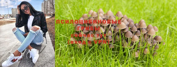 ГАЛЛЮЦИНОГЕННЫЕ ГРИБЫ Инта