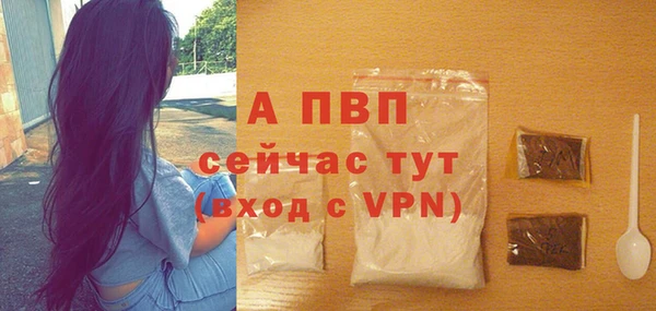 ГАЛЛЮЦИНОГЕННЫЕ ГРИБЫ Инта