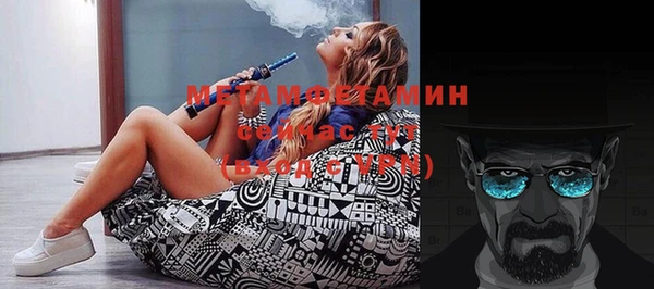 ГАЛЛЮЦИНОГЕННЫЕ ГРИБЫ Инта