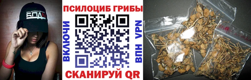 Галлюциногенные грибы мухоморы  Купить закладки  Белореченск 