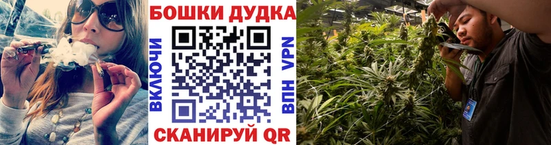 Бошки марихуана планчик  Купить закладки  Белореченск 